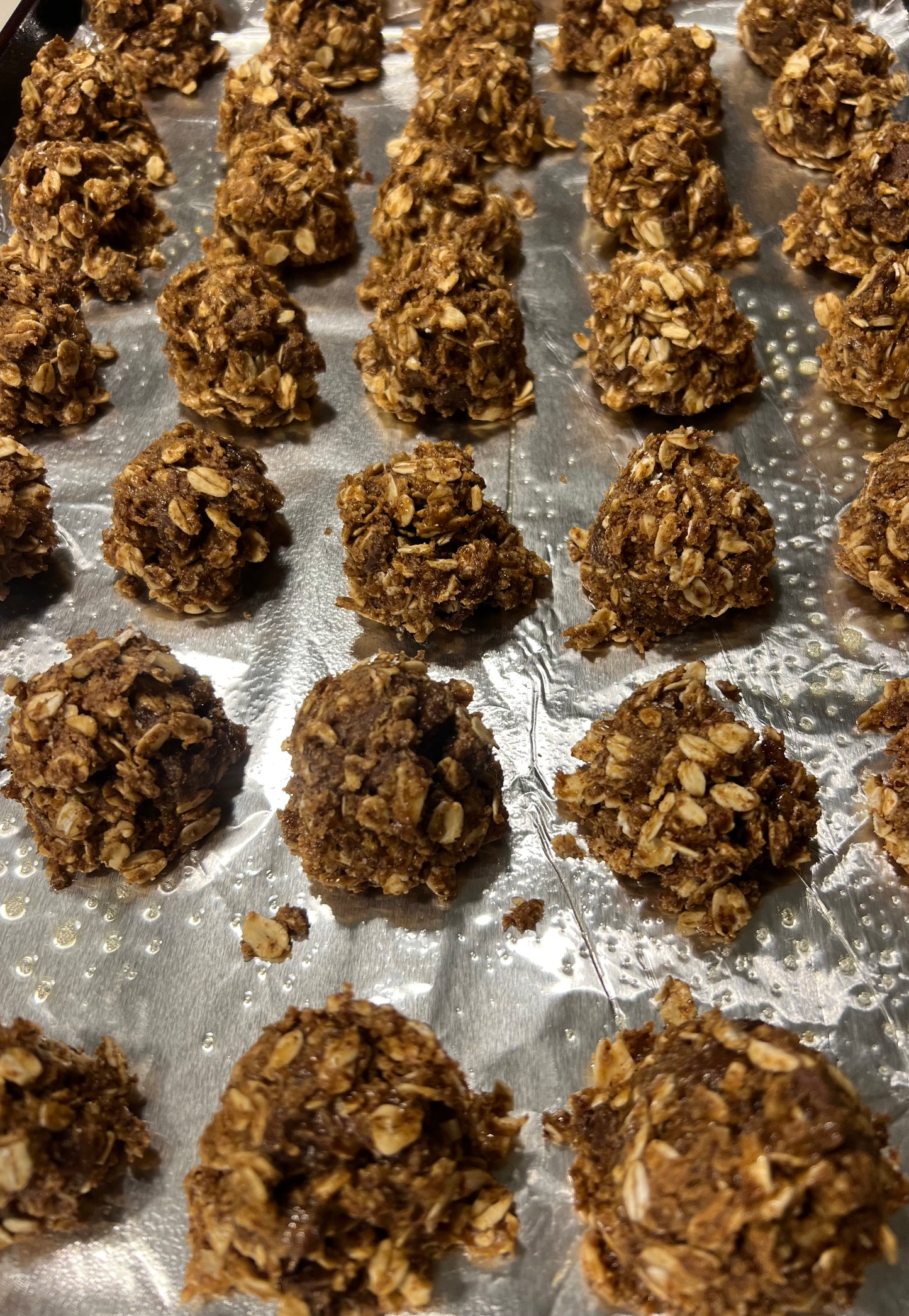 Protein Balls